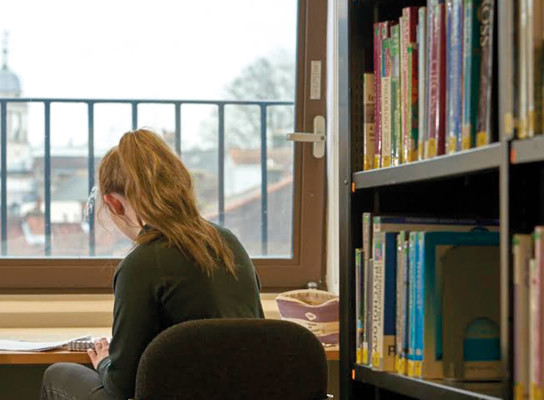 Student working in the library